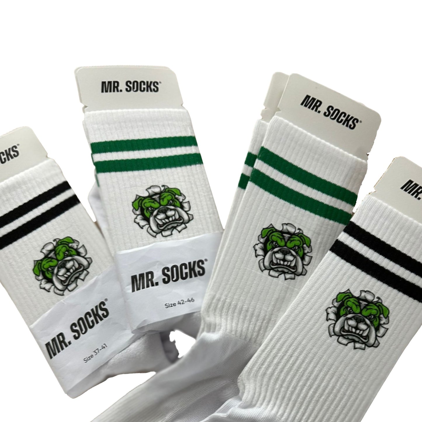 Bulldogs Socken von Mr Socks weiß-schwarz